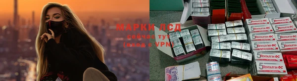 трава Майский