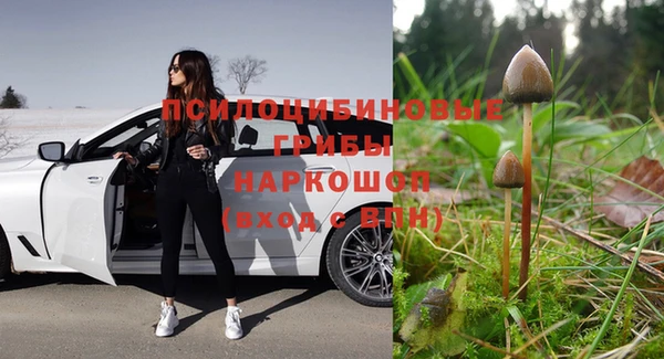 трава Майский