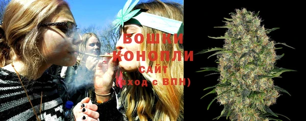 MESCALINE Бородино