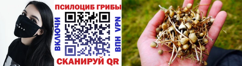 магазин    darknet наркотические препараты  Псилоцибиновые грибы ЛСД  Весьегонск 