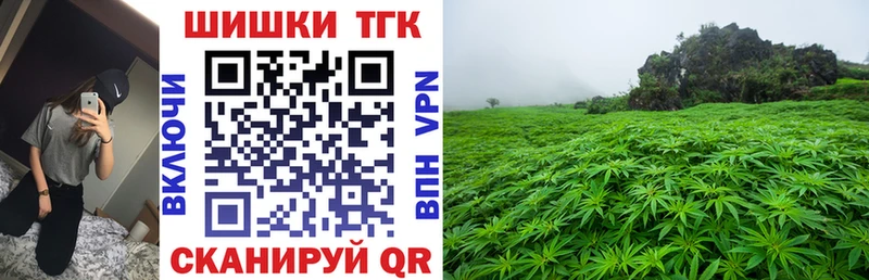 где купить наркотик  Весьегонск  Канабис ГИДРОПОН 